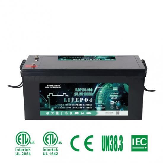 Electric Vehicle /Electric Scooter battery
