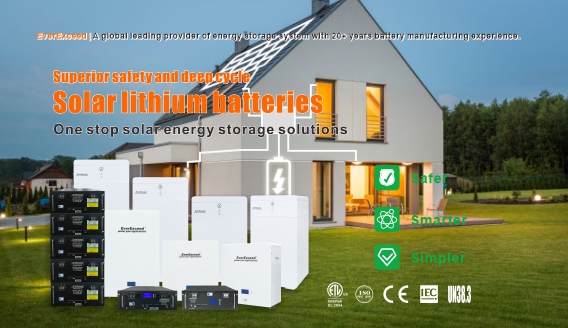 Quels sont les aspects du système de stockage d’énergie par batterie ?