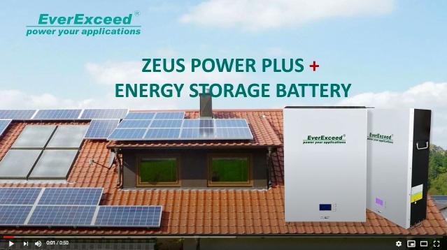  EverExceed zeus power Plus + Mur solution de batterie au lithium montée