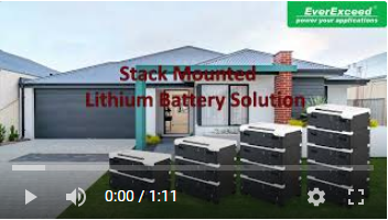 Batterie au lithium montée sur pile EverExceed